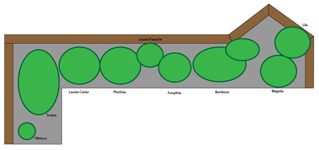 Map of the hedge as we saw it, before bamboo was an enemy